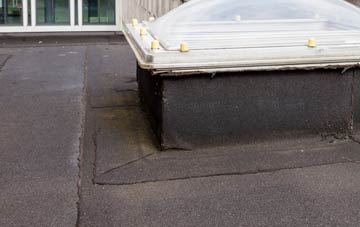 disadvantages of Poyntz Pass flat roofs