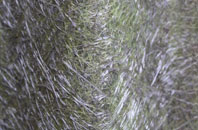 Poyntz Pass fibreglass roof work